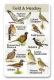 Field and Meadow SongCard.jpg